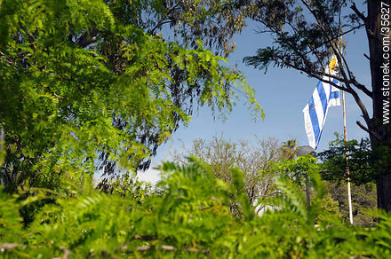 Plaza de la Bandera en el Prado de la Piedra Alta - Departamento de Florida - URUGUAY. Foto No. 35627