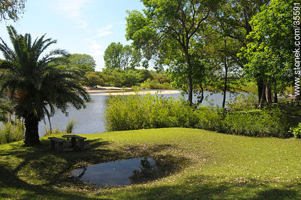 Prado de la Piedra Alta. Santa Lucía Chico river. - Department of Florida - URUGUAY. Photo #35591