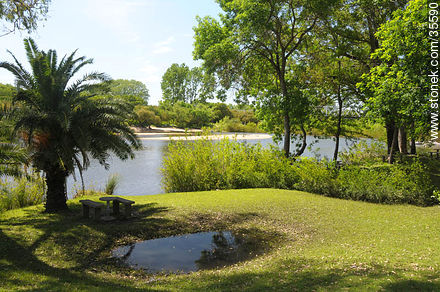 Prado de la Piedra Alta. Santa Lucía Chico river. - Department of Florida - URUGUAY. Foto No. 35590