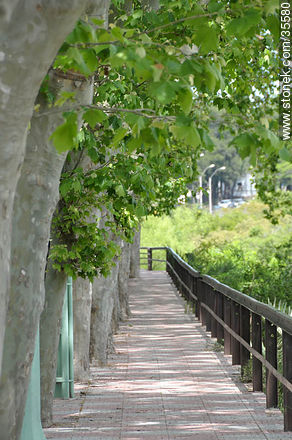 Sendero peatonal en el puente sobre el Santa Lucía Chico - Departamento de Florida - URUGUAY. Foto No. 35580