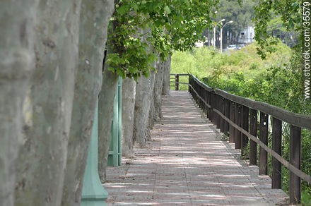 Sendero peatonal en el puente sobre el Santa Lucía Chico - Departamento de Florida - URUGUAY. Foto No. 35579