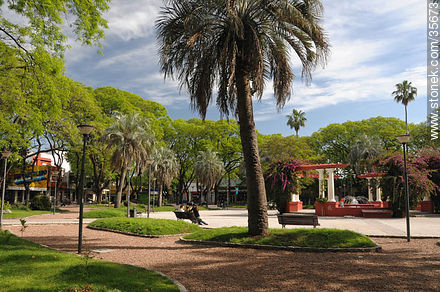 Plaza Sarandí. - Departamento de Durazno - URUGUAY. Foto No. 35673