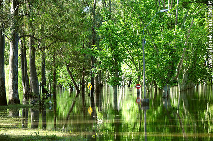 El río Yí desbordado. - Departamento de Durazno - URUGUAY. Foto No. 35636