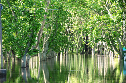 El río Yí desbordado. - Departamento de Durazno - URUGUAY. Foto No. 35634