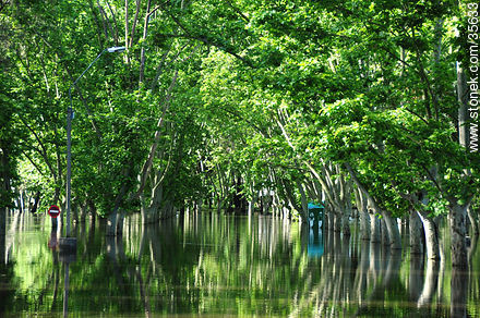 El río Yí desbordado. - Departamento de Durazno - URUGUAY. Foto No. 35633