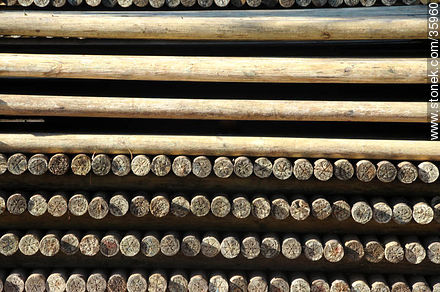 Industria maderera. Ventilación de postes de madera. - Departamento de Tacuarembó - URUGUAY. Foto No. 35960
