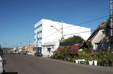 Quaraí. Avenida principal. Venta de Plantas. - Departamento de Artigas - URUGUAY. Foto No. 36078