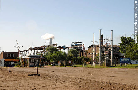 Planta industrial de ALUR - Departamento de Artigas - URUGUAY. Foto No. 36170