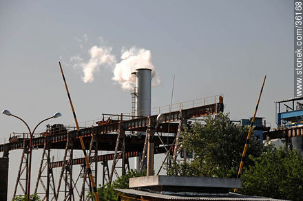 Planta industrial de ALUR - Departamento de Artigas - URUGUAY. Foto No. 36168