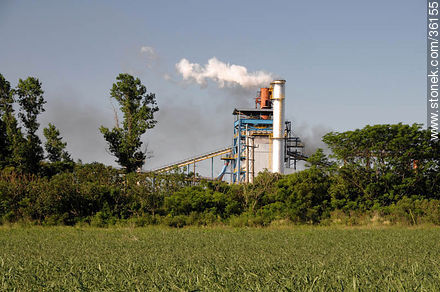 Planta industrial de ALUR - Departamento de Artigas - URUGUAY. Foto No. 36155