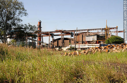 Planta industrial de ALUR - Departamento de Artigas - URUGUAY. Foto No. 36153