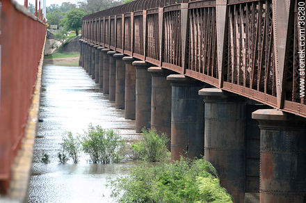 Puente ferroviario sobre el río Cuareim, en desuso. - Departamento de Artigas - URUGUAY. Foto No. 36280