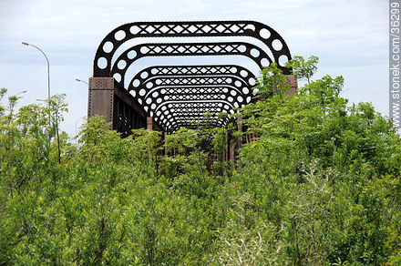 Puente ferroviario sobre el río Cuareim, en desuso. - Departamento de Artigas - URUGUAY. Foto No. 36299