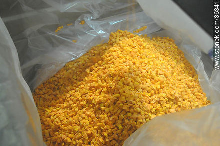 Proceso de la zanahoria en Calagua (congelada) - Departamento de Artigas - URUGUAY. Foto No. 36341