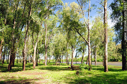 Parque Rivera a orillas del río Uruguay. - Departamento de Artigas - URUGUAY. Foto No. 36317