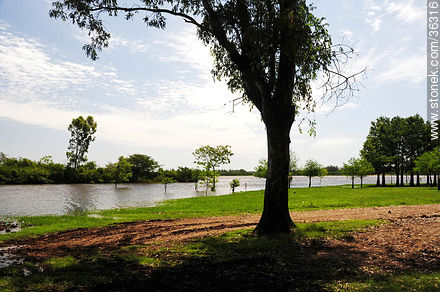 Parque Rivera a orillas del río Uruguay. - Departamento de Artigas - URUGUAY. Foto No. 36316