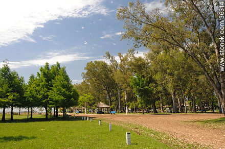 Rivera park is on the banks of the Uruguay river. - Artigas - URUGUAY. Photo #36314