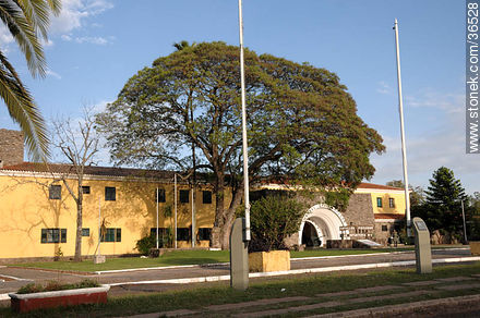  - Department of Salto - URUGUAY. Photo #36528