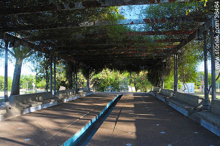 Plaza de Salto. - Departamento de Salto - URUGUAY. Foto No. 36464