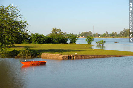 Costa del río Uruguay crecido - Departamento de Salto - URUGUAY. Foto No. 36443