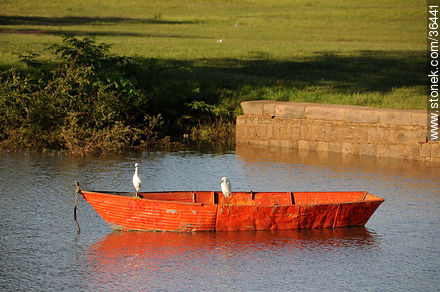 Costa del río Uruguay - Departamento de Salto - URUGUAY. Foto No. 36441