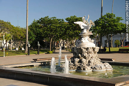 Treinta y Tres Orientales square - Department of Salto - URUGUAY. Photo #36401