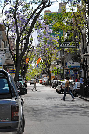 Downtown Salto. Uruguay Ave. - Department of Salto - URUGUAY. Photo #36369
