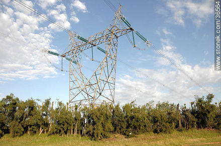 High tension tower. - Department of Salto - URUGUAY. Photo #36564