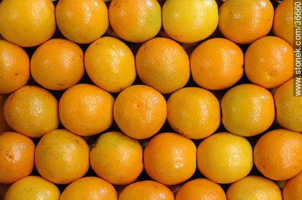 Naranjas encajonadas -  - IMÁGENES VARIAS. Foto No. 36660