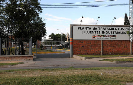 Av. Salto. Planta de Tratamientos de Efluentes Industriales de Paycueros - Departamento de Paysandú - URUGUAY. Foto No. 37077