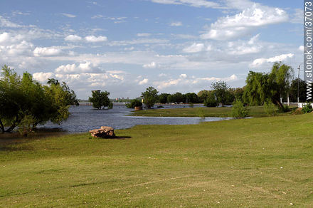 Rised Uruguay river. - Department of Paysandú - URUGUAY. Foto No. 37073