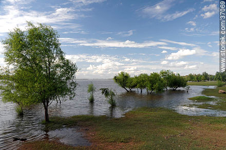 Rised Uruguay river. - Department of Paysandú - URUGUAY. Foto No. 37069
