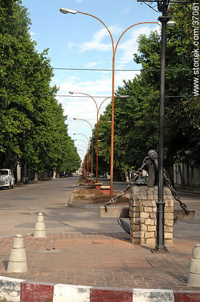 Brasil Ave. - Department of Paysandú - URUGUAY. Photo #37061