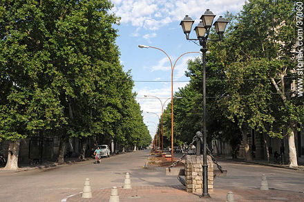 Avenida Brasil y Gral. Garzón - Departamento de Paysandú - URUGUAY. Foto No. 37060