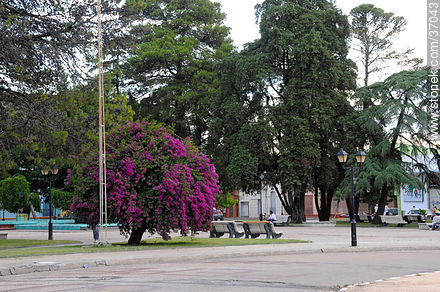 Plaza  José Artigas en la calle Brasil. Santa Rita. - Departamento de Paysandú - URUGUAY. Foto No. 37043