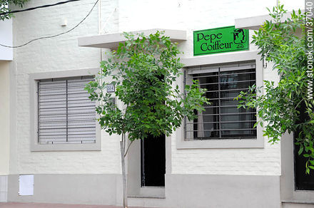 Pepe coiffeur - Department of Paysandú - URUGUAY. Photo #37040