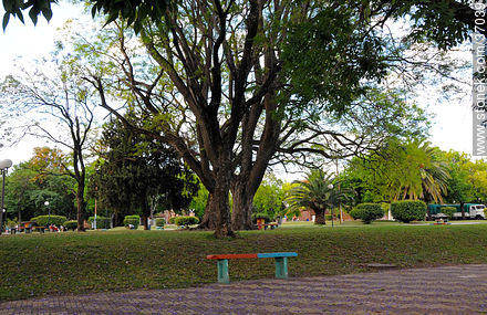 Plaza Lavalleja - Departamento de Paysandú - URUGUAY. Foto No. 37039