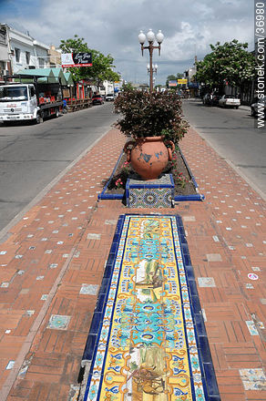 Cantero central de la Avenida España - Departamento de Paysandú - URUGUAY. Foto No. 36980
