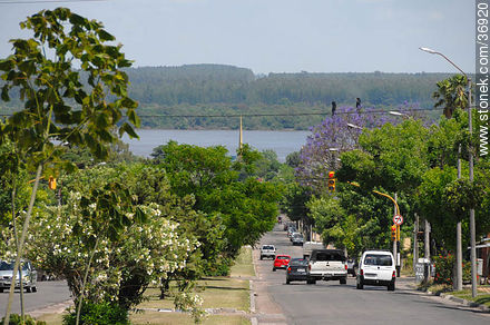 Avenida Soriano con vista al Río Uruguay - Departamento de Paysandú - URUGUAY. Foto No. 36920