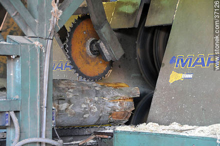 Industria maderera. - Departamento de Paysandú - URUGUAY. Foto No. 37126