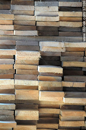 Timber industry - Department of Paysandú - URUGUAY. Foto No. 37108