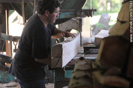 Industria maderera. Sección de troncos. - Departamento de Paysandú - URUGUAY. Foto No. 37093