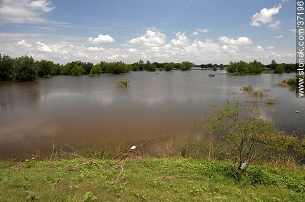 Río Uruguay crecido - Departamento de Paysandú - URUGUAY. Foto No. 37196