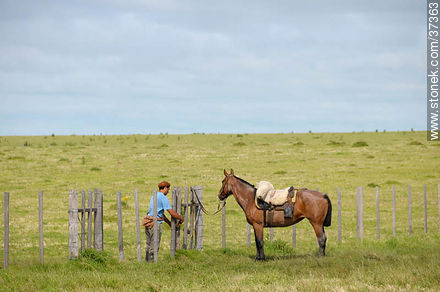 Campesino atando las riendas de su caballo. - Departamento de Rocha - URUGUAY. Foto No. 37363