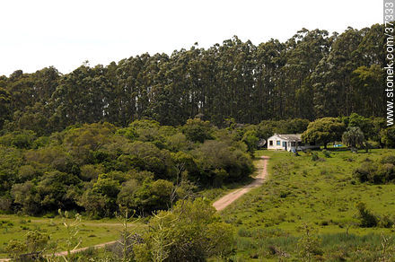 Santa Teresa National Park. - Department of Rocha - URUGUAY. Foto No. 37333