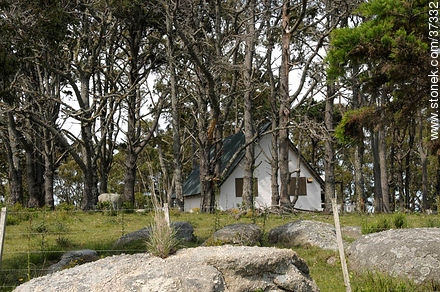 Santa Teresa National Park. - Department of Rocha - URUGUAY. Foto No. 37332