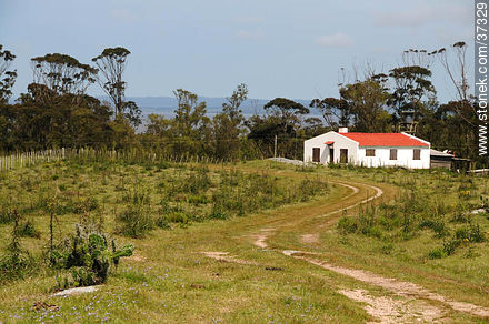 Santa Teresa National Park. - Department of Rocha - URUGUAY. Foto No. 37329