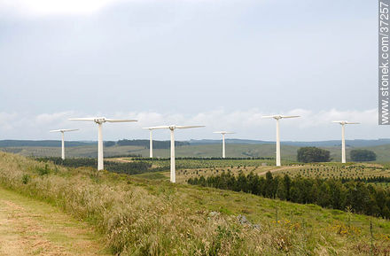 Parque eólico de Nuevo Manantial - Departamento de Rocha - URUGUAY. Foto No. 37257
