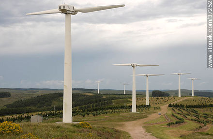 Nuevo Manantial wind farm. - Department of Rocha - URUGUAY. Photo #37252