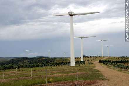 Nuevo Manantial wind farm. - Department of Rocha - URUGUAY. Photo #37249